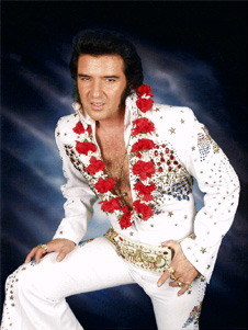 fanviewbillywayde.jpg